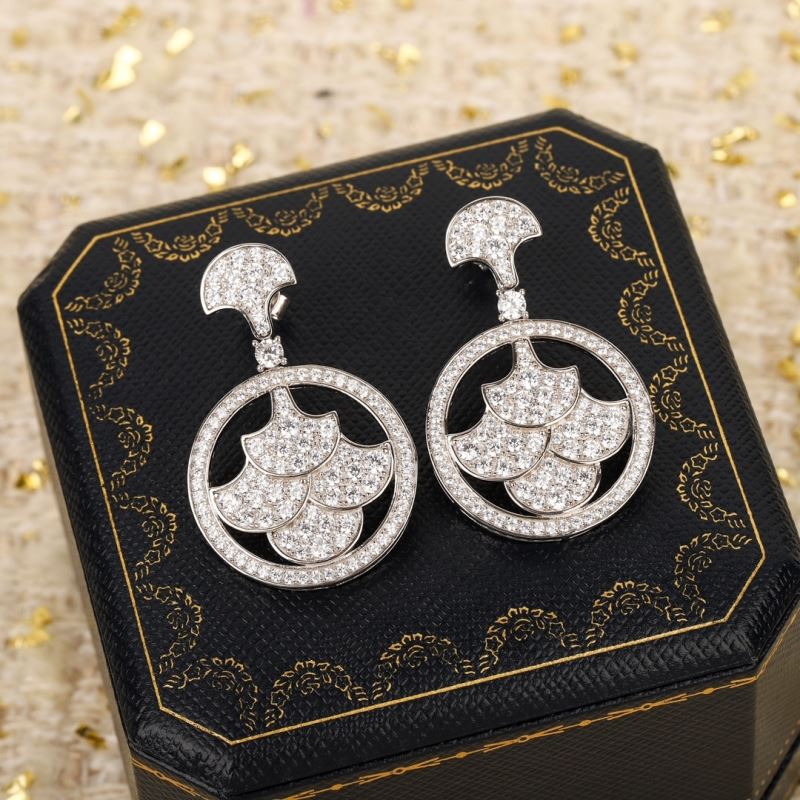 Unclassified Brand Earrings